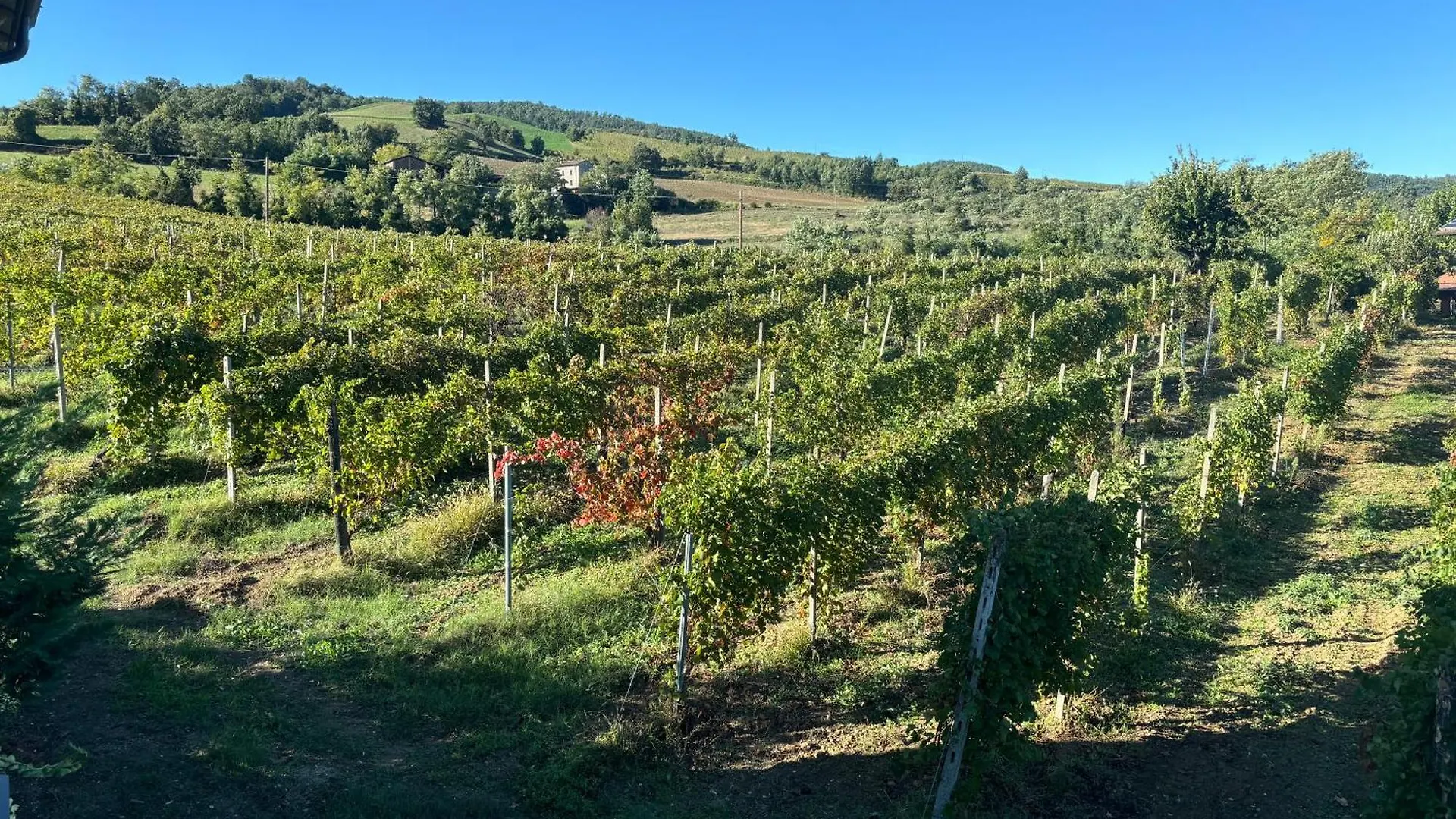 Вилла Uvamatta Carmiano  0*, Carmiano (Emilia-Romagna)