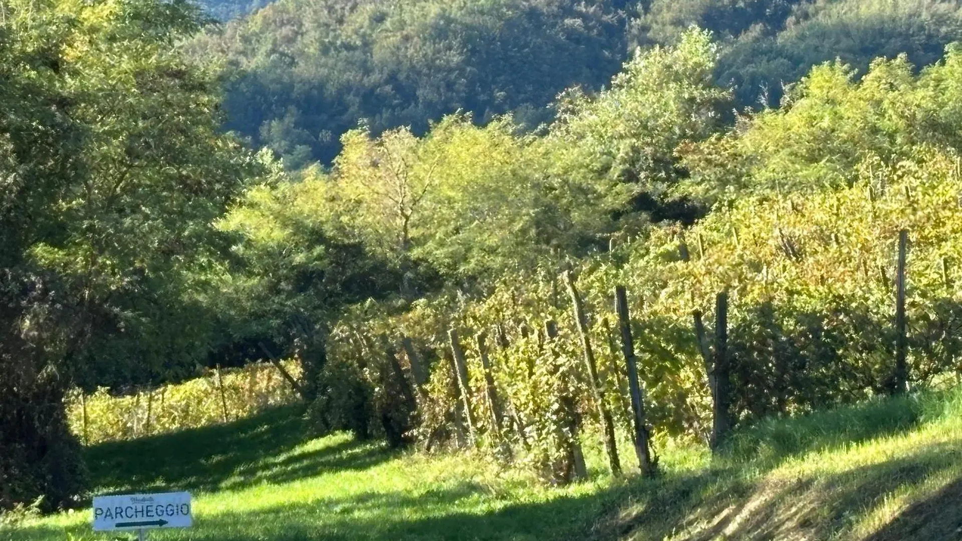 Вилла Uvamatta Carmiano  Фермерский дом Carmiano (Emilia-Romagna)